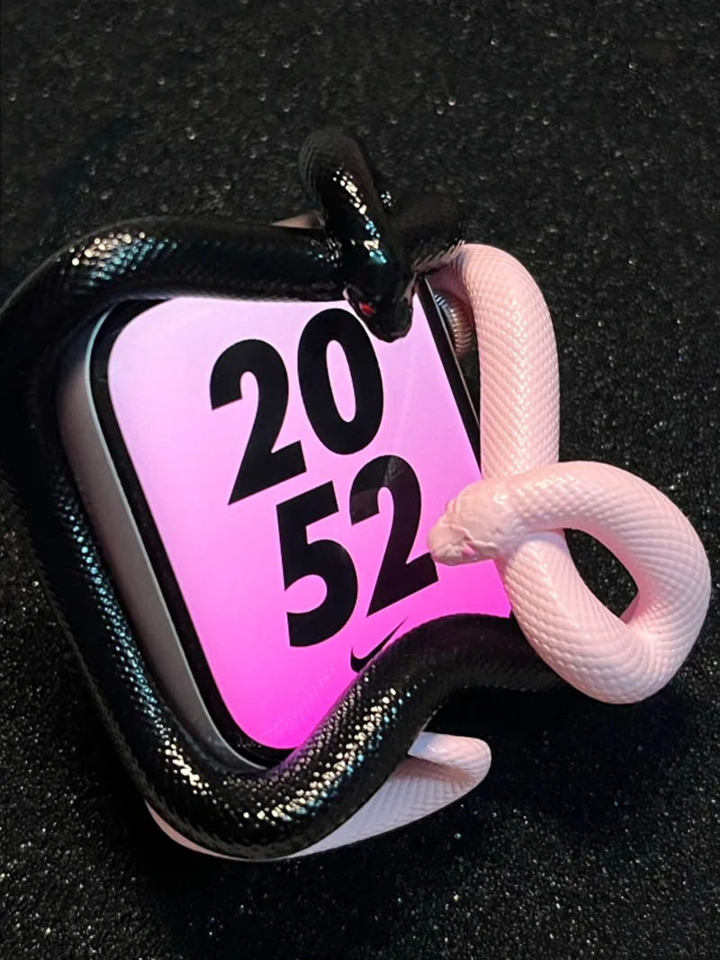 Snake Resin Material Watch Cas - 3D Printing Design Software incelemesi ve fiyatı
