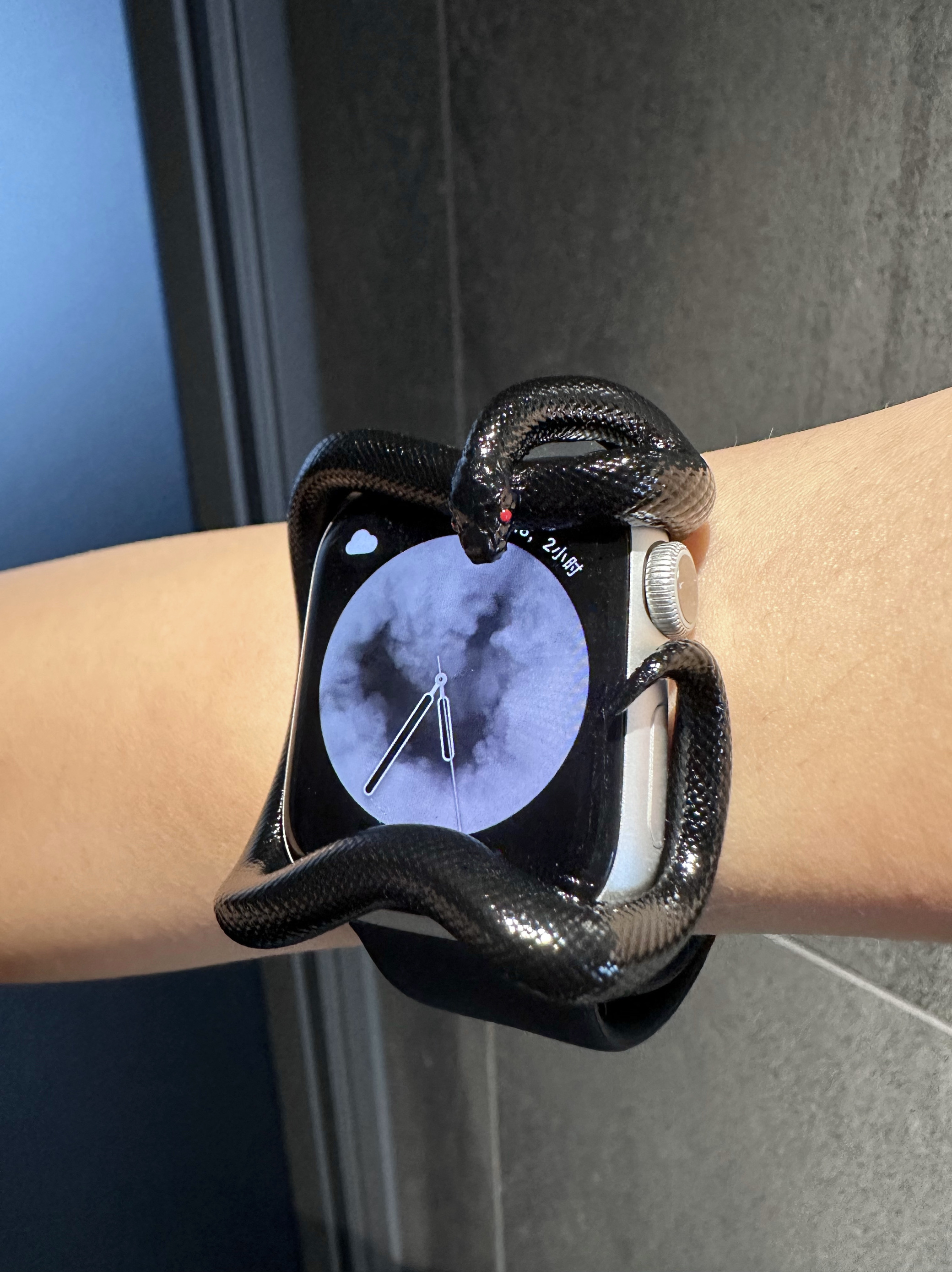 Snake Resin Material Watch Cas - 3D Printing Design Software incelemesi ve fiyatı